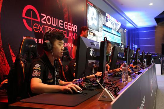 典型冠军投 典型冠军投